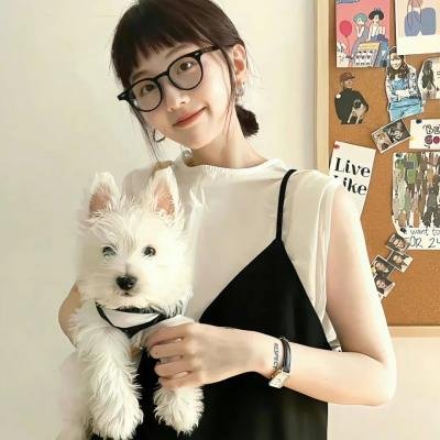 我爱猫头鹰